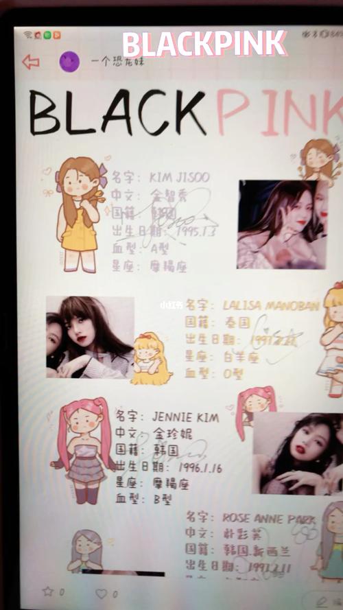 blackpink 94@念念手账_blackpink_手帐_blackpink