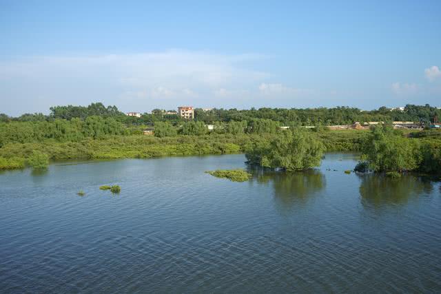 北海滨海国家湿地公园范围包括鲤鱼地水库,冯家江两岸,滨海红树林和