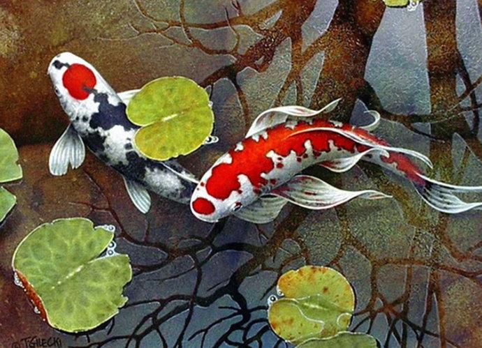 转载泳姿雄然加拿大画家特里盖尅锦鲤油画