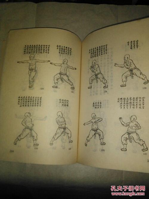 少林寺资料集(内含一套少林拳法图说153页一198页共46页)