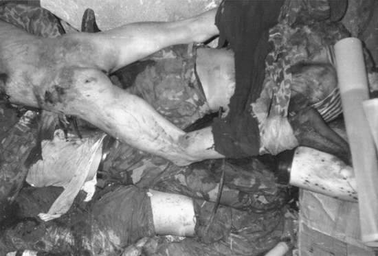 女摄影师一线实拍对越自卫反击战震撼现场(组图)