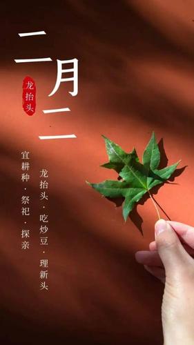 二月二龙抬头图片配图大全,二月二龙抬头祝福问候语朋友圈文案