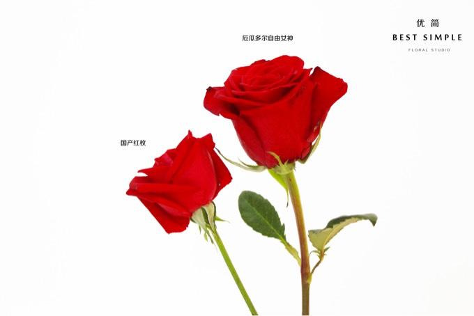 小王子:我只想要b612星球那朵独一无二的玫瑰