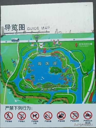 广州的海珠湖国家湿地公园太美了