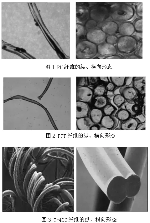 如何鉴别氨纶,ptt及t-400 这三种弹性纤维?