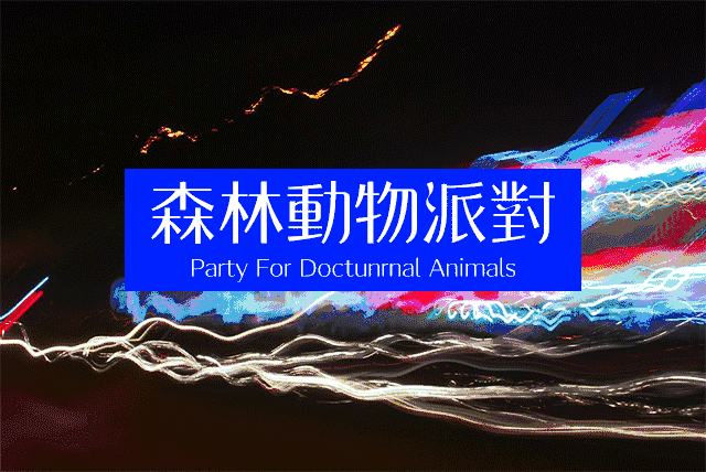 专属于夜猫子的聚会,隐匿在黑夜的你该出动了!