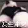 那啥你们有直视我崽种的表情包吗