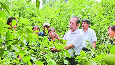 河北农大教授李保国:30年带动10万太行农民奔小康