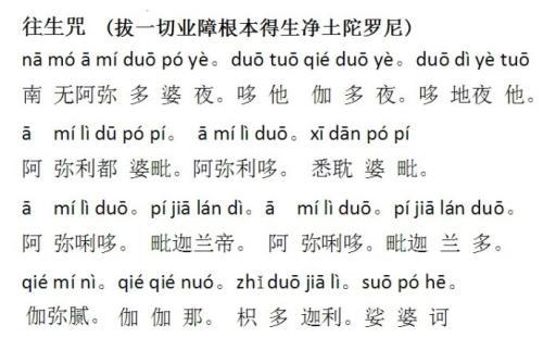 法华经第一卷快诵誓诵法华誓生净土之故事一则