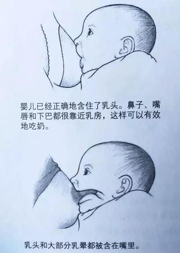 看了泪流满面     新生儿往往力气更小,且缺少"经验",吃母乳对ta来说