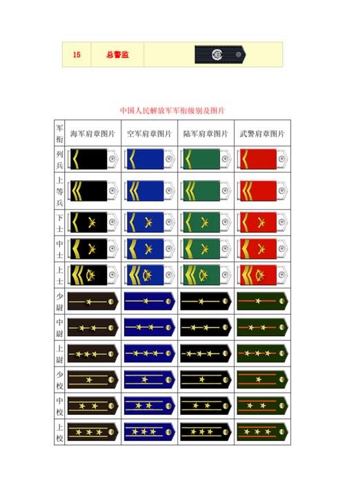 人民警察警衔军衔图片.docx 4页
