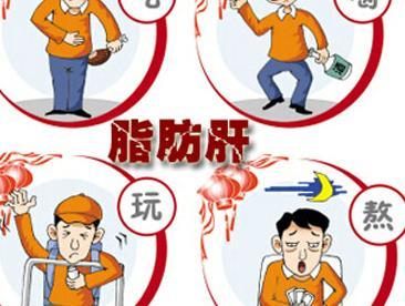 脂肪肝的饮食治疗方法有哪些引起脂肪肝的原因有哪些