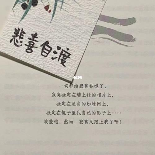 悲喜自渡|孤独是我们一生的课题,不如享受它_孤独_书单_广州攻略_养猫