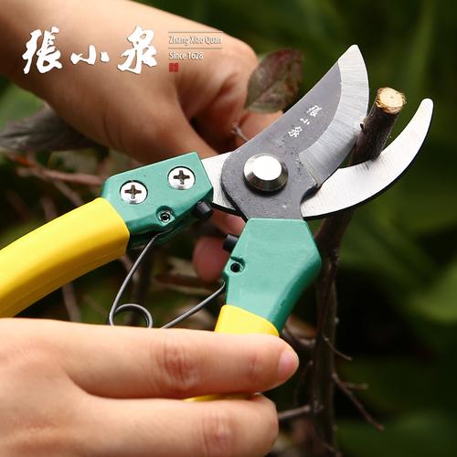 张小泉修枝剪修剪刀花枝家用剪刀修枝剪剪园艺树枝修花剪刀花剪刀