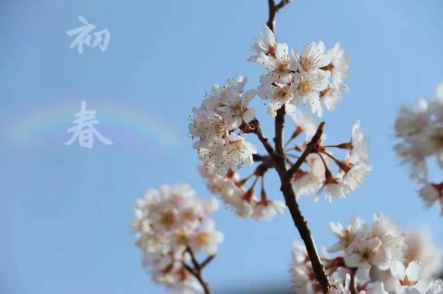 南森校园,春暖花开,美景正当时,莫负好春光!