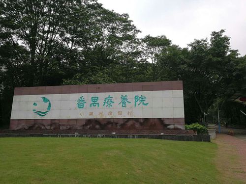 大夫山下疗养院闲聊集