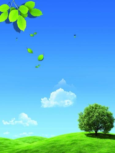 新浪微博qq空间微信 原创设计蓝天草地展板背景