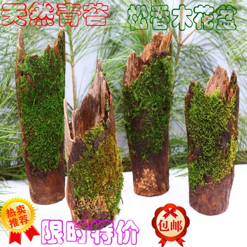 多肉花盆树根花盆木头花盆多肉植物盆栽枯木朽木树桩空气凤梨包邮
