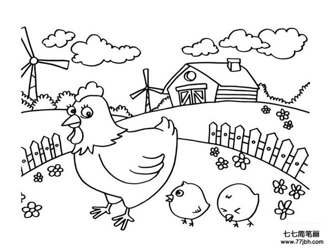 农场里,一只母鸡带着两只小鸡快乐玩着~~和谐的一家亲!