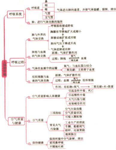 人体的呼吸知识梳理