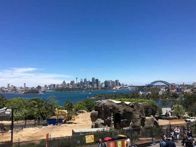 从动物园望悉尼中心,视野特别宽阔.