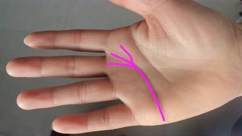 女人右手掌凤尾纹手相,感情事业双丰收老神婆风水大师网,凤眼纹手相图