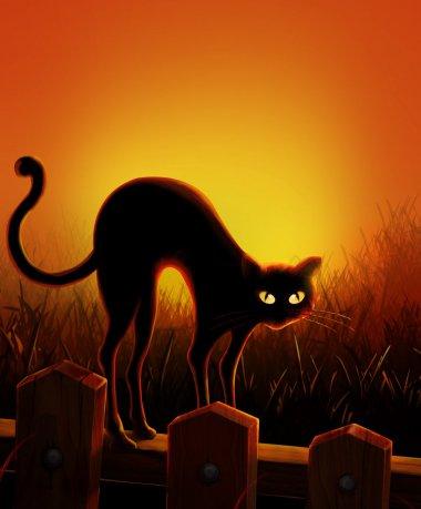 万圣节黑猫图片