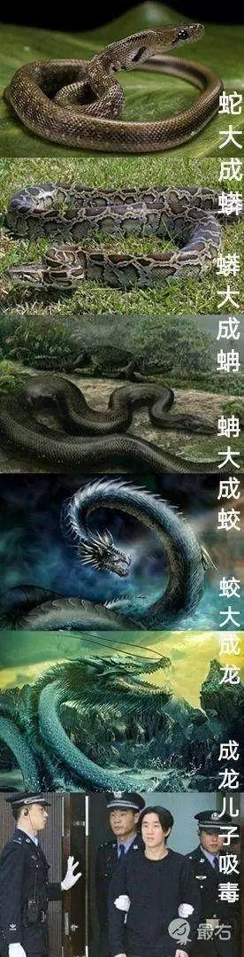 蛇大成蟒,蟒大成蚺,蚺大成蛟,下一个你能接上算你狠,哈哈