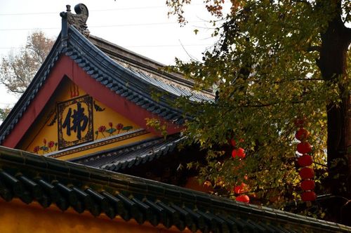 浙江台州温岭明因讲寺
