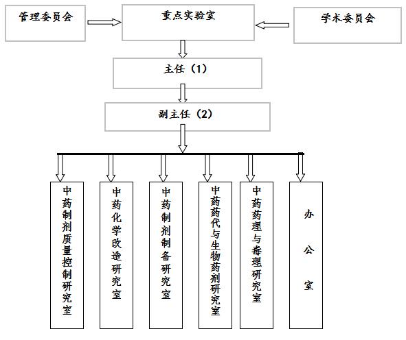 中药成药性与制剂制备湖南省重点实验室组织结构图