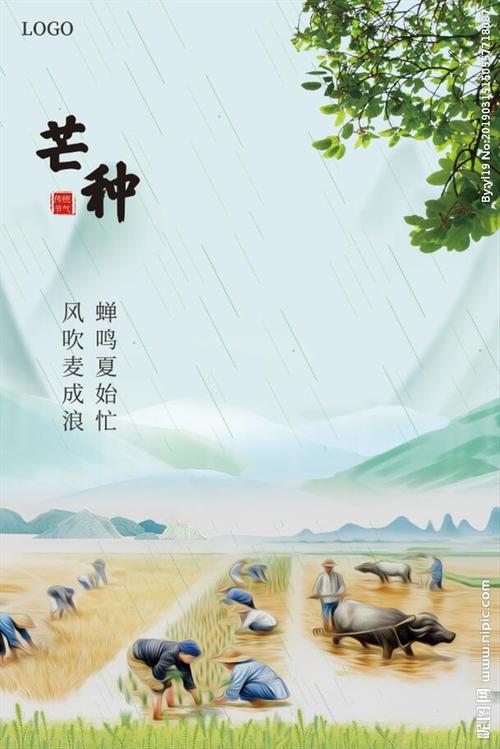 芒种节气宣传图片