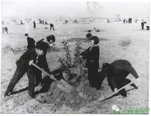 从1956年柏各庄农场建场,到柏各庄区,柏各庄农垦区,唐海县,曹妃甸