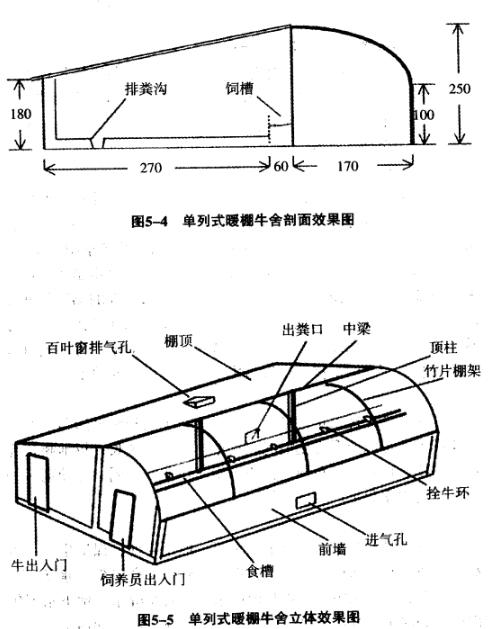 肉牛舍设计原则