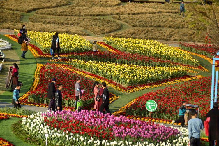 春天的故事,成都百花谷