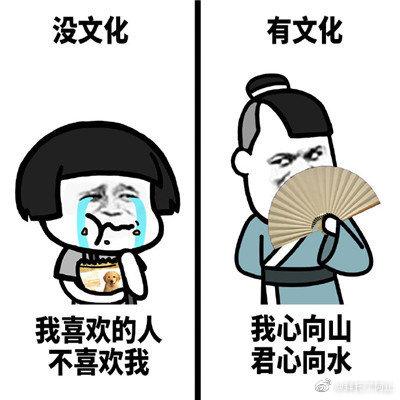 文化人怼人可以有多绝