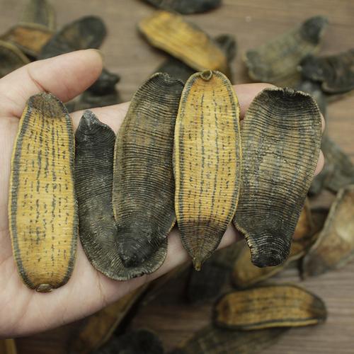 水蛭中药材正品蚂蟥宽体金线100g蚂蝗非吊磨水其他药食同源食品