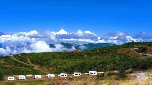 奇观王岗坪景区开园啦门票观光车缆车票不限量免费送