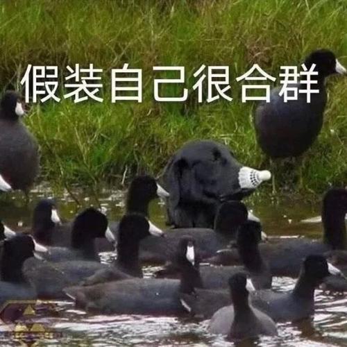 菜鸡前来求助 k疯狂星期四怎么点【明天有活动放心吃!