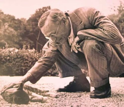 赫尔曼.黑塞与猫