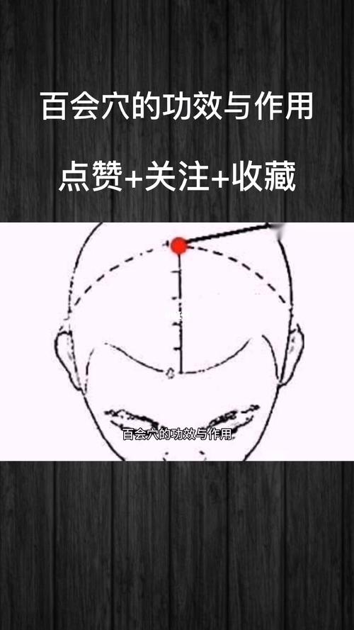 百会穴的功效与作用
