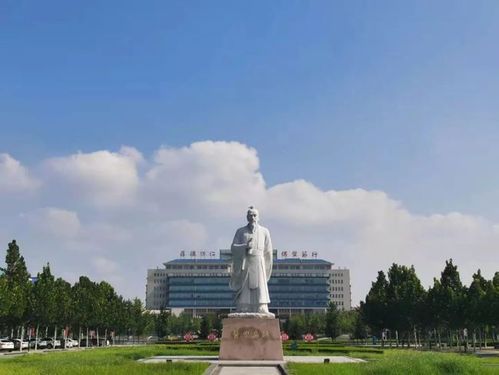 148人!山东中医药大学招聘啦