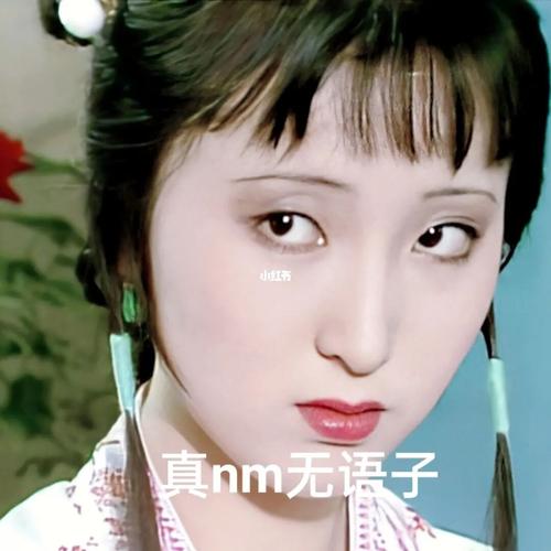 红楼梦中人‖我命运般的林怼怼_红楼梦_扬州攻略_表情包_素材_表情包