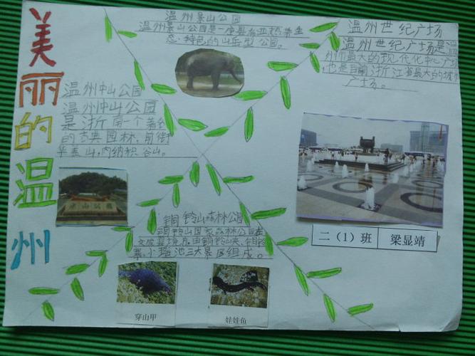 手抄报美丽的温州