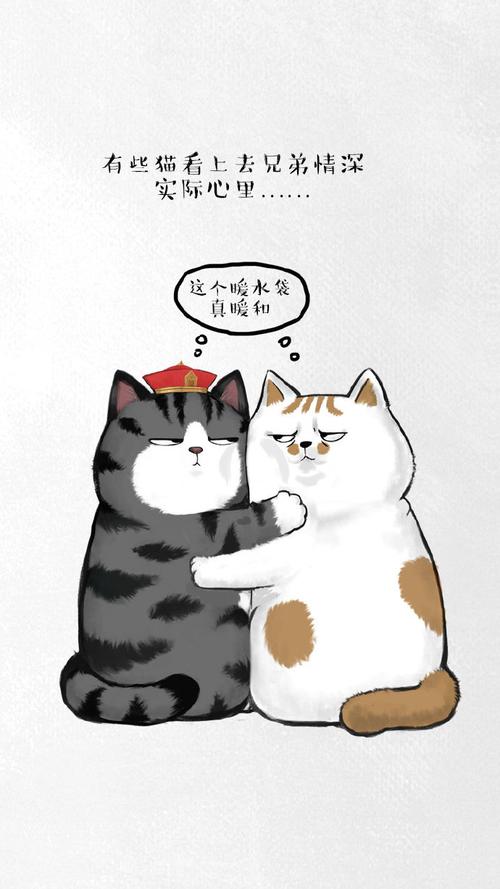 吾皇巴扎黑##吾皇猫