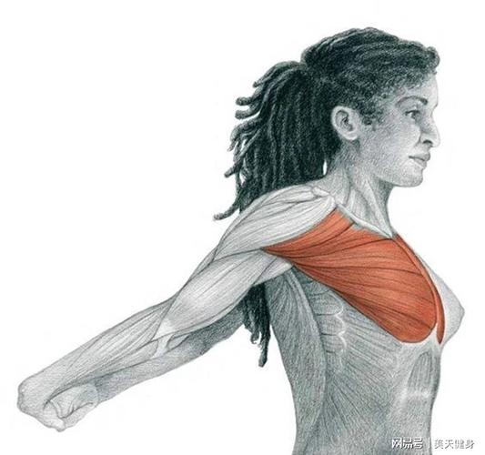 低头玩手机,体态看起来"猥琐"?4个拉伸动作,改善颈部前引