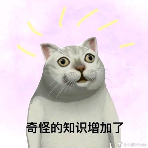 可能不多,也就70来张,拿去继续增加奇怪的知识吧!