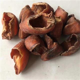 折纸猪蹄甲方法有哪些