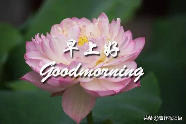 二月初一早上好祝福语图片带字带祝福语 问候亲友短信