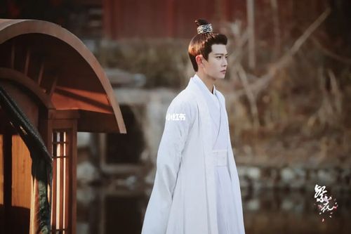 心目的南辰王周生辰是什么样子的呢_任嘉伦_古装照_任嘉伦一生一世
