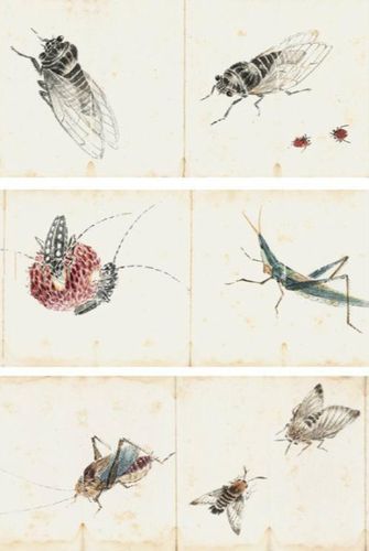 齐白石工笔草虫册页